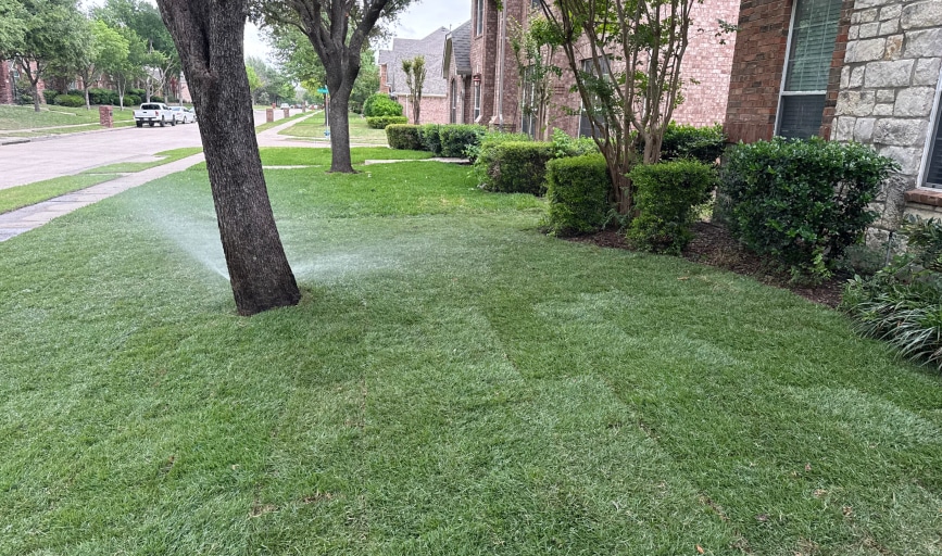 Landscaping